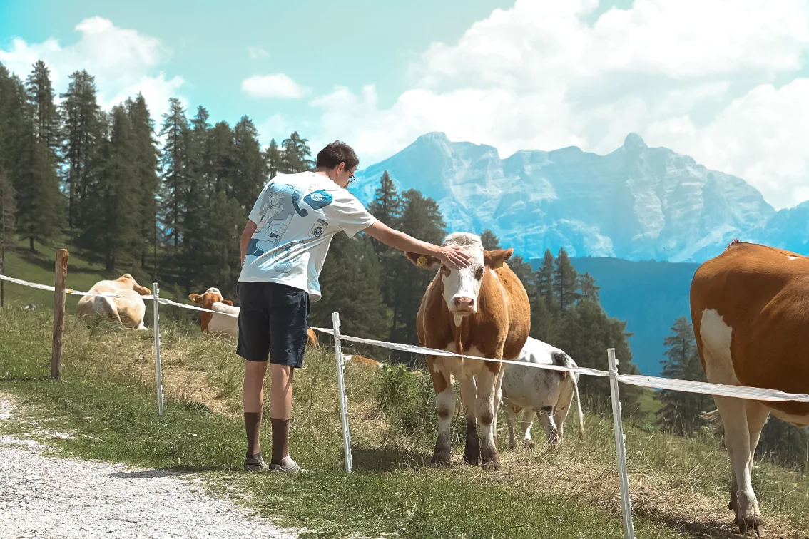 Vakantie foto 10
