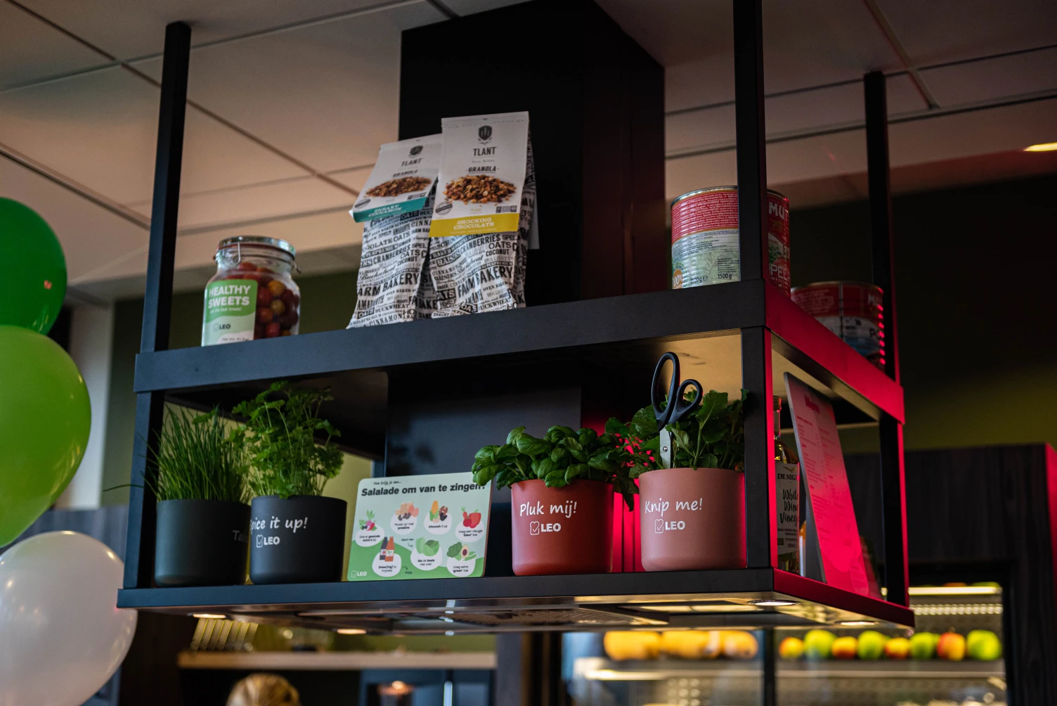 Plantjes decoratie Pre-wonen