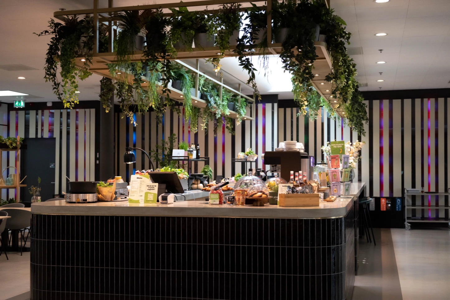 Plantjes decoratie 4 Pre-wonen