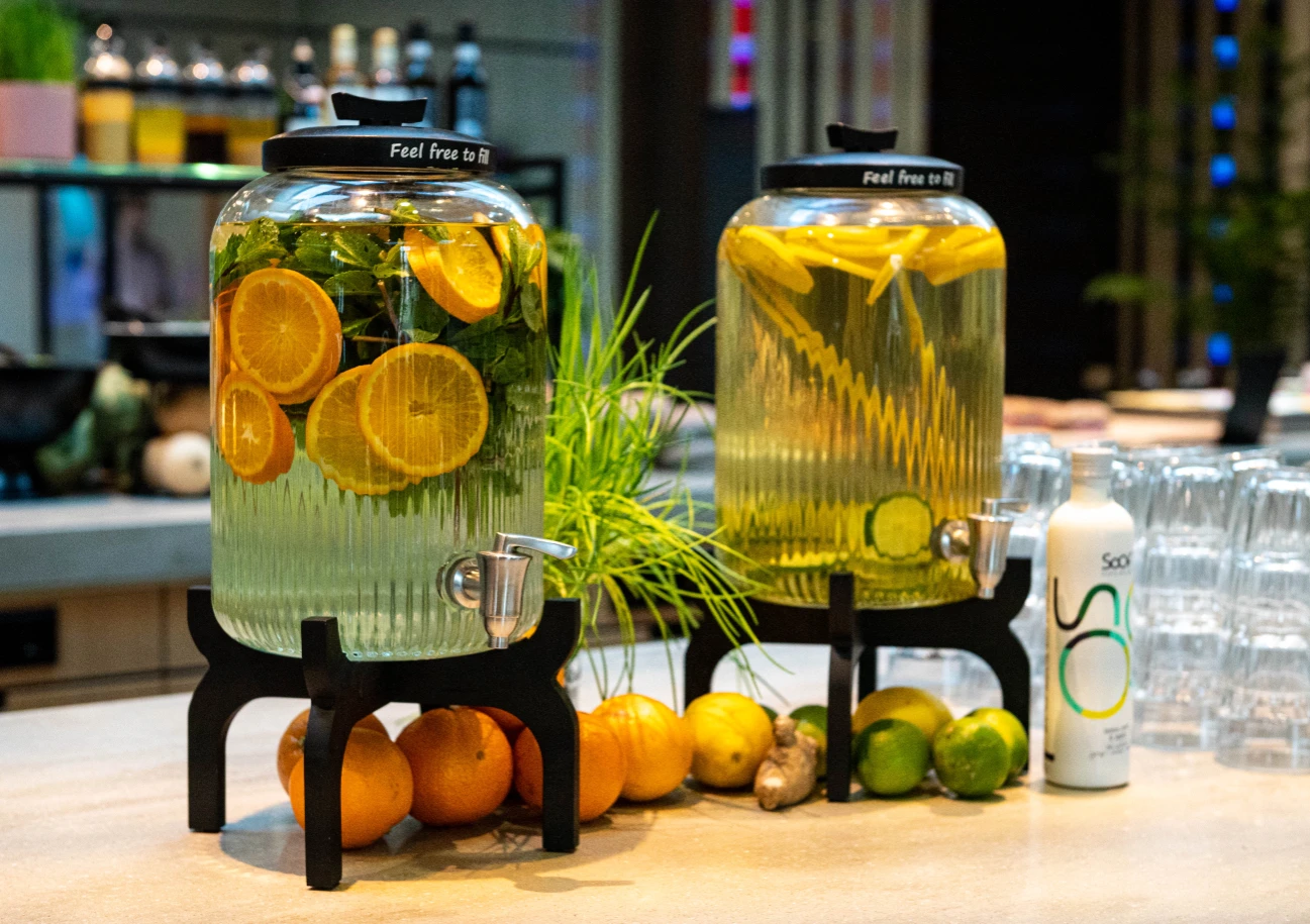 Plantjes decoratie 2 Pre-wonen